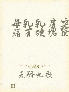 母乳乳房突然胀痛有硬块发烧怎么办