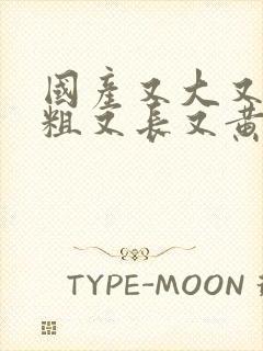 国产又大又硬又粗又长又黄的视频