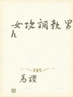 女攻调教男受高h