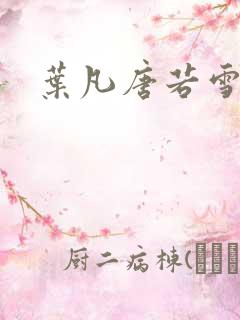 叶凡唐若雪王婿