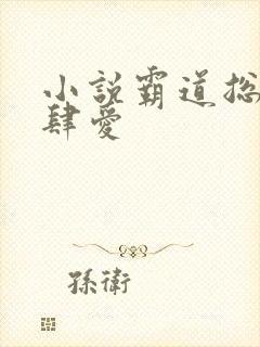 小说霸道总裁放肆爱