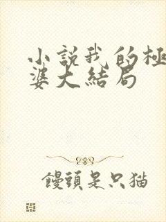 小说我的极品老婆大结局