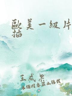 欧美一级片插插插