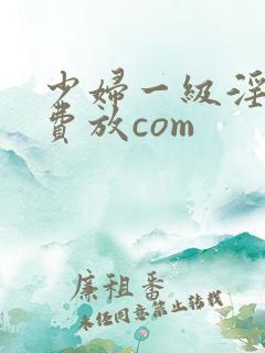 少妇一级淫片免费放com