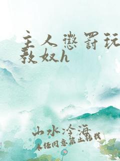 主人惩罚玩弄调教奴h