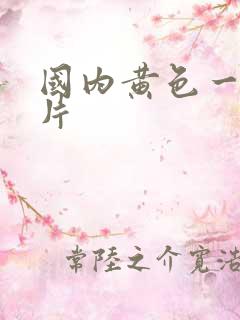 国内黄色一级大片