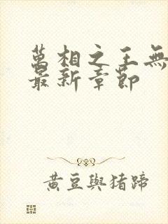 万相之王无弹窗最新章节