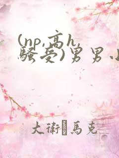 (np,高h,骚受)男男小说