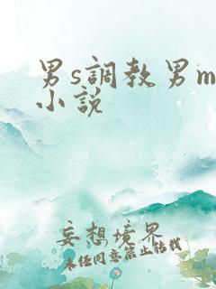 男s调教男m的小说