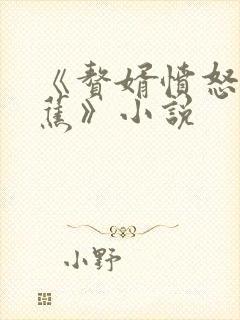 《赘婿愤怒的香蕉》小说