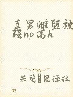 直男雌堕被疯批强np高h