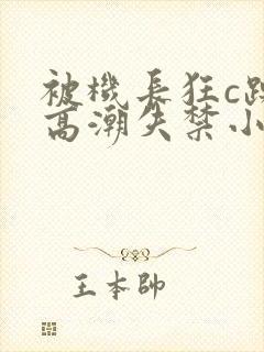 被机长狂c躁到高潮失禁小说