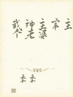 武神主宰主角几个老婆