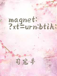 magnet:?xt=urn:btih:国内
