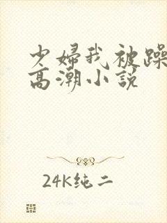 少妇我被躁爽到高潮小说