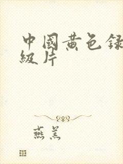 中国黄色录像一级片