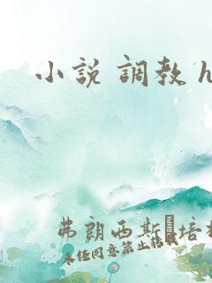 小说 调教 h