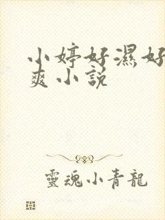 小婷好湿好紧太爽小说
