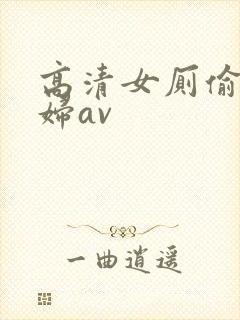 高清女厕偷拍少妇av