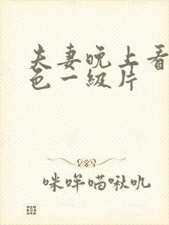 夫妻晚上看的黄色一级片