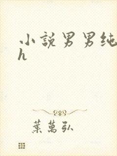 小说男男纯肉高h