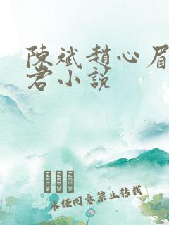 陈斌赵心眉高婉君小说
