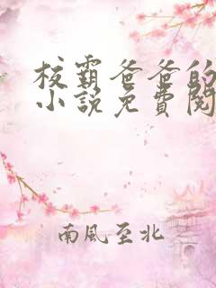 校霸爸爸的秘密小说免费阅读