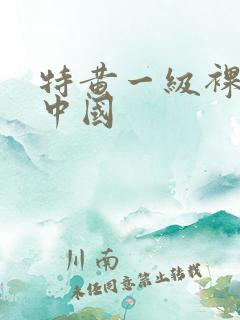 特黄一级裸片,中国