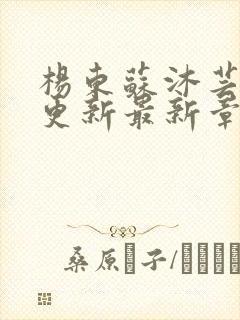 杨东苏沐芸刚刚更新最新章节