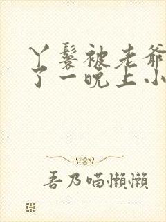 丫鬟被老爷糟蹋了一晚上小说