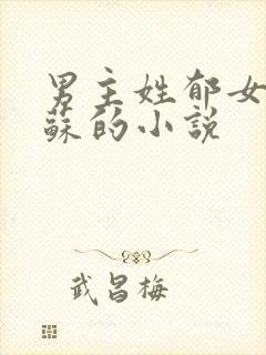 男主姓郁女主姓苏的小说