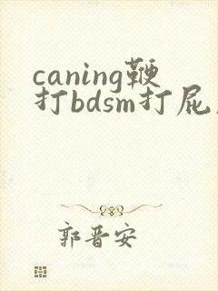 caning鞭打bdsm打屁股