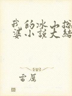 我的冰山总裁老婆小说大结局