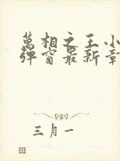 万相之王小说无弹窗最新章节