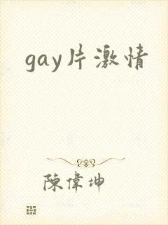 gay片激情