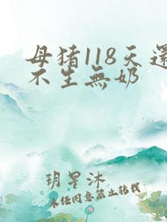 母猪118天还不生无奶