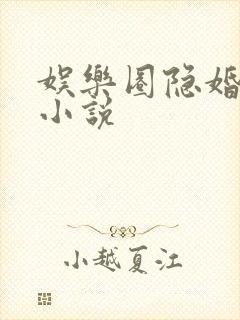 娱乐圈隐婚甜宠小说