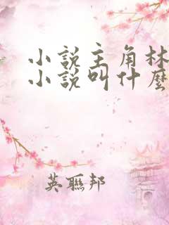 小说主角林辰的小说叫什么