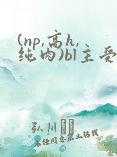 (np,高h,纯肉)bl主受