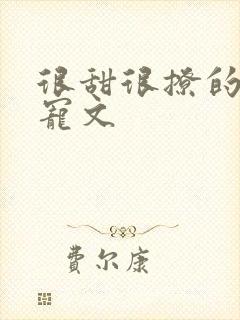 很甜很撩的校园宠文