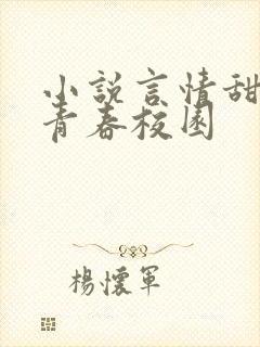 小说言情甜宠文青春校园