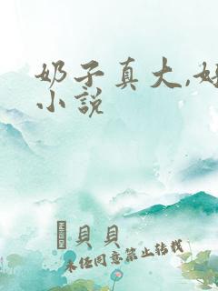 奶子真大,好骚小说