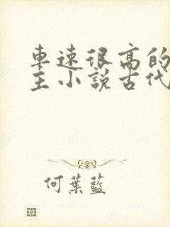 车速很高的双男主小说古代