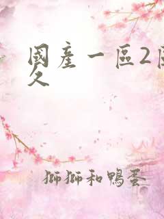 国产一区2区久久