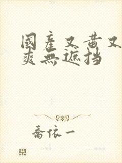 国产又黄又色又爽无遮挡