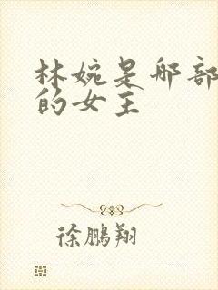 林婉是哪部小说的女主