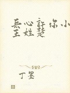 兵心许你小说男主姓楚