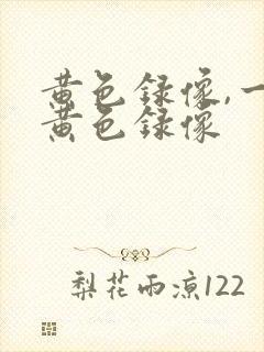 黄色录像,一级黄色录像