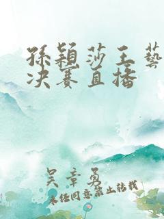 孙颖莎王艺迪半决赛直播