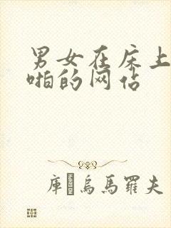 男女在床上啪啪啪的网站